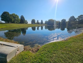 Pondweed Infestation