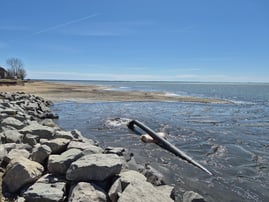 dredging