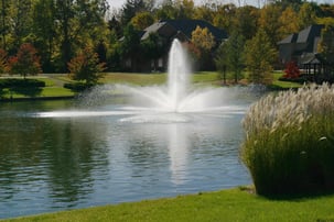 fountain in pond