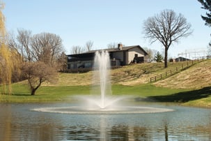 fountain in pond with house