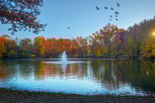 Bring Your Pond to Life with a Fountain Lease from Aqua Services