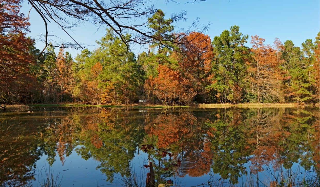 fall texas pond
